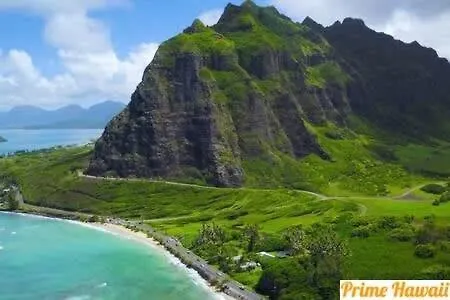 New Beachfront Condo Hau'ula 0*,  United States